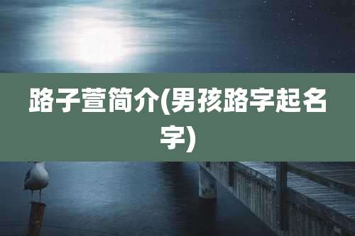 路子萱简介(男孩路字起名字)