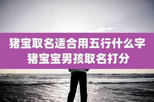 猪宝取名适合用五行什么字 猪宝宝男孩取名打分