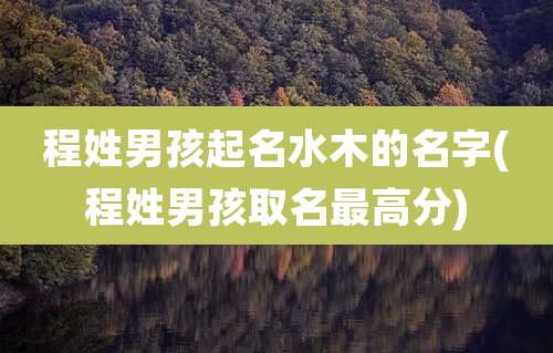程姓男孩起名水木的名字(程姓男孩取名最高分)