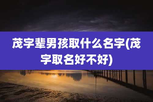 茂字辈男孩取什么名字(茂字取名好不好)