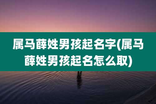 属马薛姓男孩起名字(属马薛姓男孩起名怎么取)