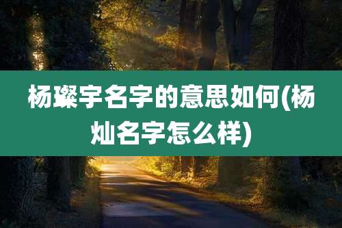 杨璨宇名字的意思如何(杨灿名字怎么样)