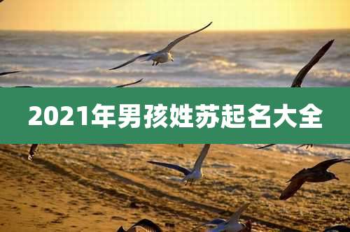 2021年男孩姓苏起名大全