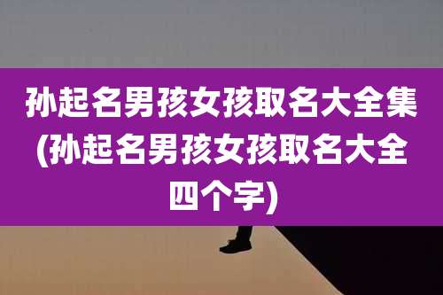 孙起名男孩女孩取名大全集(孙起名男孩女孩取名大全四个字)