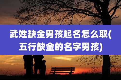 武姓缺金男孩起名怎么取(五行缺金的名字男孩)