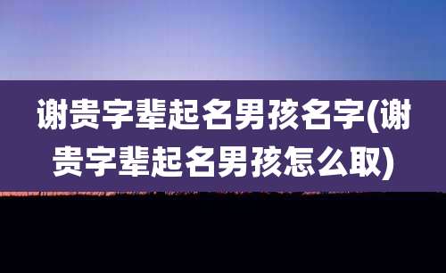 谢贵字辈起名男孩名字(谢贵字辈起名男孩怎么取)