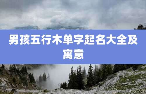 男孩五行木单字起名大全及寓意