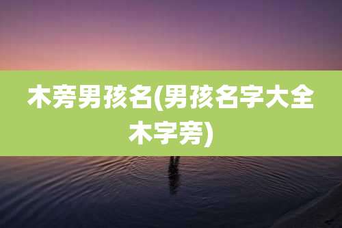 木旁男孩名(男孩名字大全木字旁)