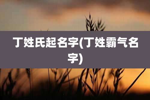 丁姓氏起名字(丁姓霸气名字)