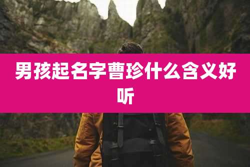 男孩起名字曹珍什么含义好听