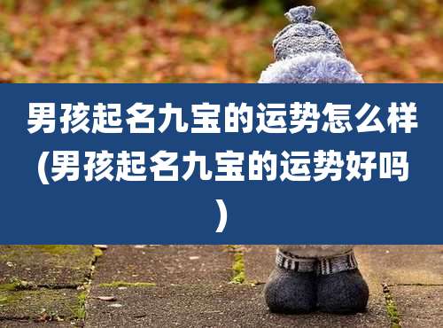 男孩起名九宝的运势怎么样(男孩起名九宝的运势好吗)