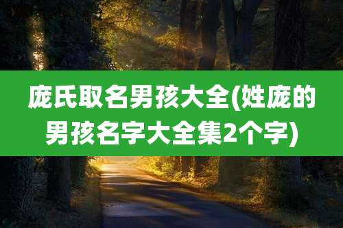 庞氏取名男孩大全(姓庞的男孩名字大全集2个字)