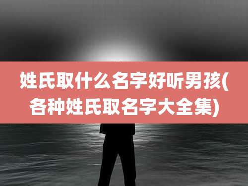 姓氏取什么名字好听男孩(各种姓氏取名字大全集)