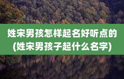 姓宋男孩怎样起名好听点的(姓宋男孩子起什么名字)