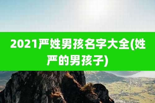 2021严姓男孩名字大全(姓严的男孩子)
