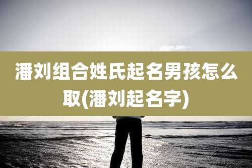 潘刘组合姓氏起名男孩怎么取(潘刘起名字)