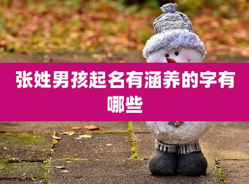 张姓男孩起名有涵养的字有哪些