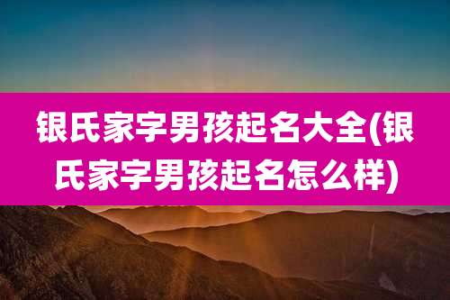 银氏家字男孩起名大全(银氏家字男孩起名怎么样)