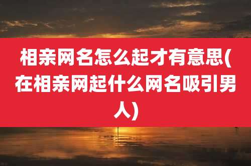 相亲网名怎么起才有意思(在相亲网起什么网名吸引男人)