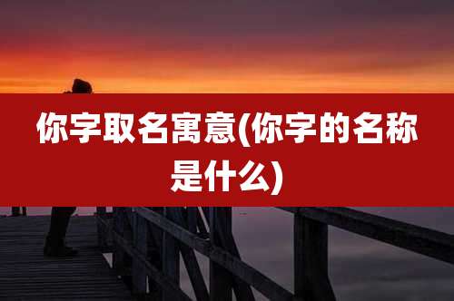 你字取名寓意(你字的名称是什么)