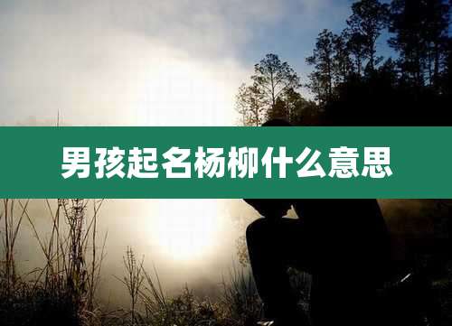 男孩起名杨柳什么意思