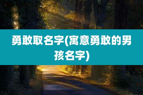 勇敢取名字(寓意勇敢的男孩名字)