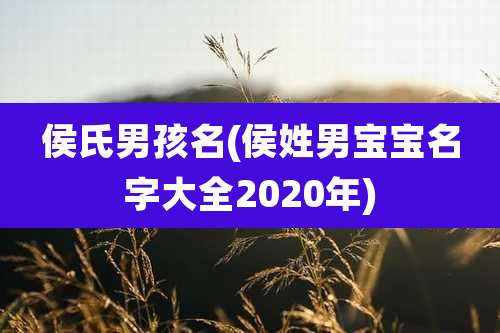 侯氏男孩名(侯姓男宝宝名字大全2020年)