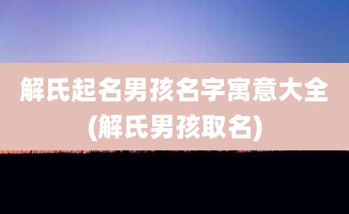 解氏起名男孩名字寓意大全(解氏男孩取名)