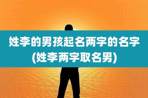 姓李的男孩起名两字的名字(姓李两字取名男)