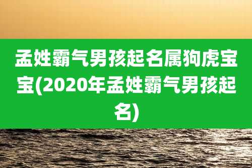 孟姓霸气男孩起名属狗虎宝宝(2020年孟姓霸气男孩起名)