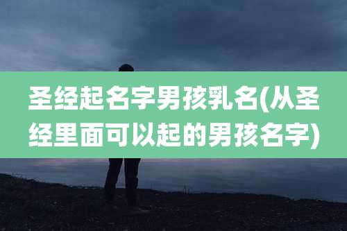 圣经起名字男孩乳名(从圣经里面可以起的男孩名字)