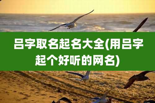 吕字取名起名大全(用吕字起个好听的网名)