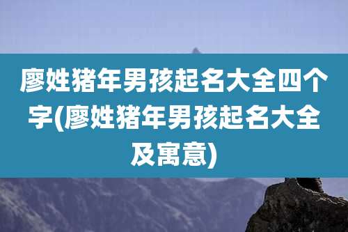 廖姓猪年男孩起名大全四个字(廖姓猪年男孩起名大全及寓意)
