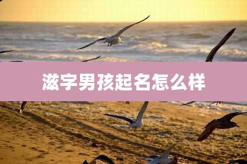 滋字男孩起名怎么样