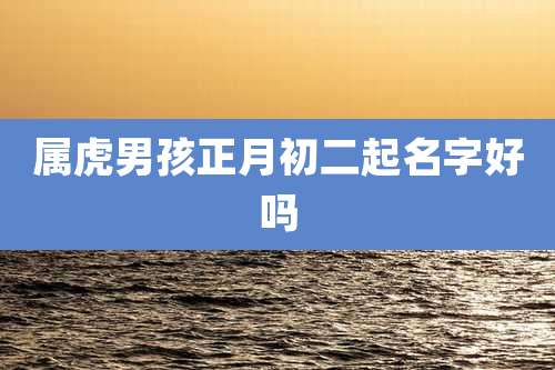 属虎男孩正月初二起名字好吗