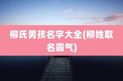 柳氏男孩名字大全(柳姓取名霸气)
