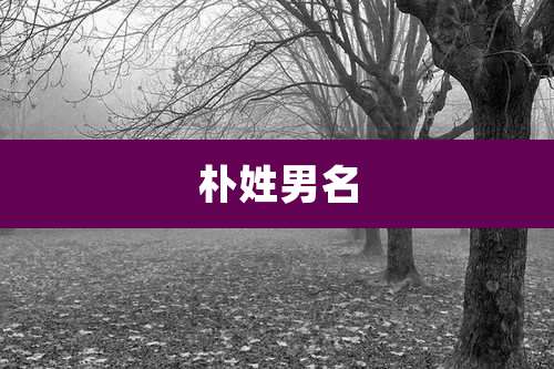 朴姓男名