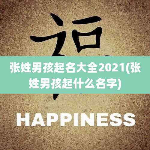 张姓男孩起名大全2021(张姓男孩起什么名字)