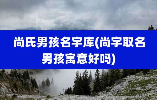 尚氏男孩名字库(尚字取名男孩寓意好吗)