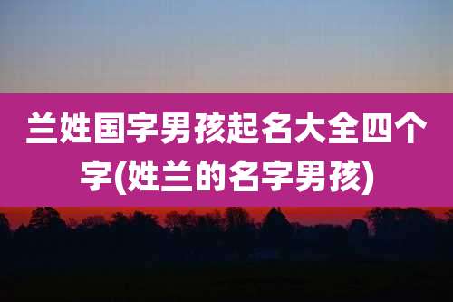 兰姓国字男孩起名大全四个字(姓兰的名字男孩)