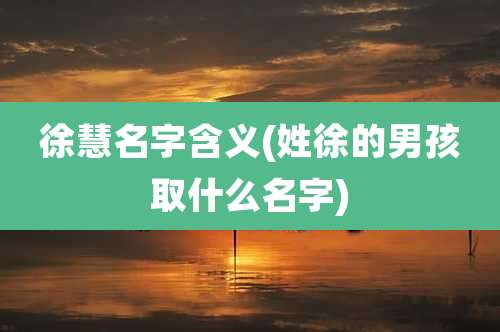 徐慧名字含义(姓徐的男孩取什么名字)
