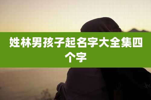 姓林男孩子起名字大全集四个字