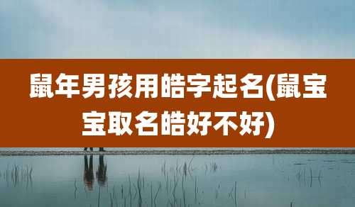 鼠年男孩用皓字起名(鼠宝宝取名皓好不好)