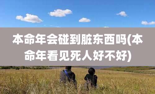 本命年会碰到脏东西吗(本命年看见死人好不好)