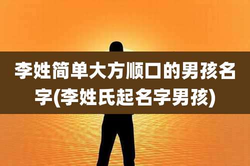 李姓简单大方顺口的男孩名字(李姓氏起名字男孩)