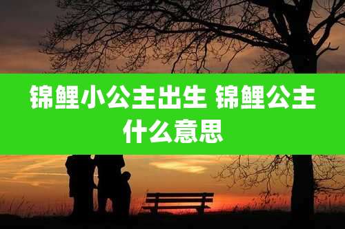 锦鲤小公主出生 锦鲤公主什么意思