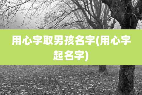 用心字取男孩名字(用心字起名字)