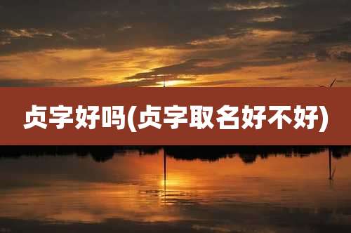 贞字好吗(贞字取名好不好)