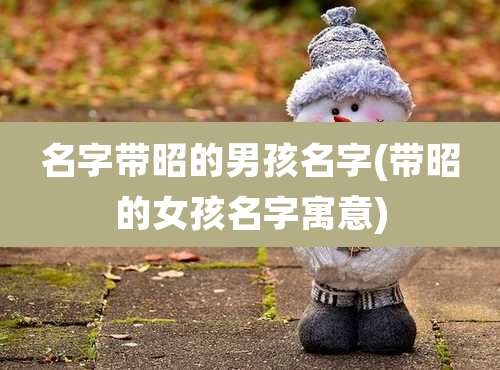 名字带昭的男孩名字(带昭的女孩名字寓意)