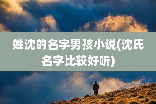 姓沈的名字男孩小说(沈氏名字比较好听)